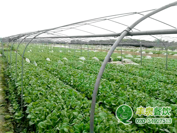 廣州食堂承包公司能給企業帶來什么，企業知道嗎？