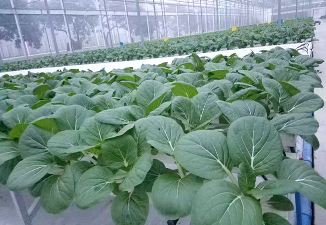 一家優秀的食堂承包公司，需要具備哪些條件